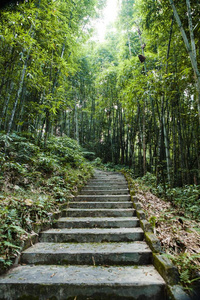 越南河江新人田瀑布竹林