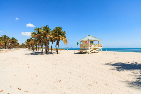 美丽克兰登公园海滩位于迈阿密比斯坎