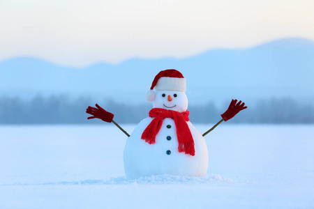 冬天的风景。圣诞节雪人戴着红帽子围巾和手套。高山。美丽的童话雪天