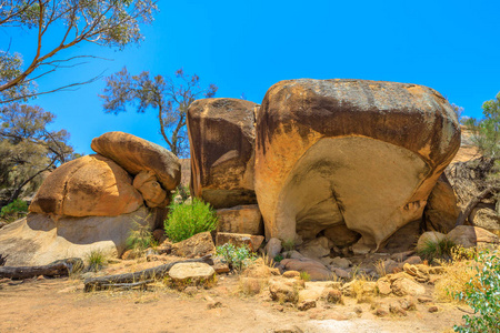 河马打哈欠 Hyden