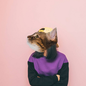 滑稽的猫头与人体在毛衣.时尚当代艺术拼贴画照片