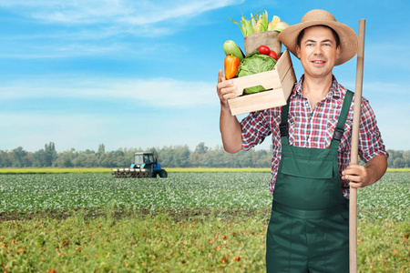 蔬菜箱农艺师在田间存放各种蔬菜箱照片