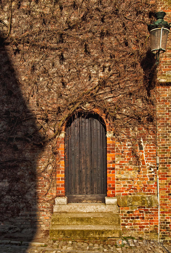 房子与树枝缠绕在一起