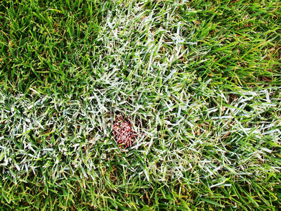 在塑料足球草地上画白线的十字架。人造的绿色草坪纹理