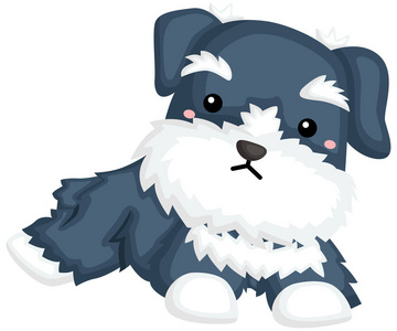 可爱的雪纳瑞图片