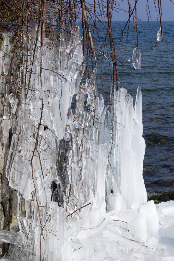 寒冷的冬天, 湖边树枝上的冰柱