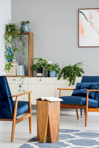 在灰色公寓内的蓝色扶手椅与海报和植物之间的木桌预订。真实照片