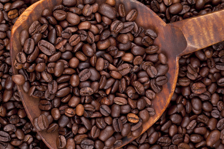 一勺咖啡种子照片