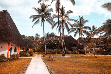 热带有棕榈树的度假屋。温暖的国家为 t