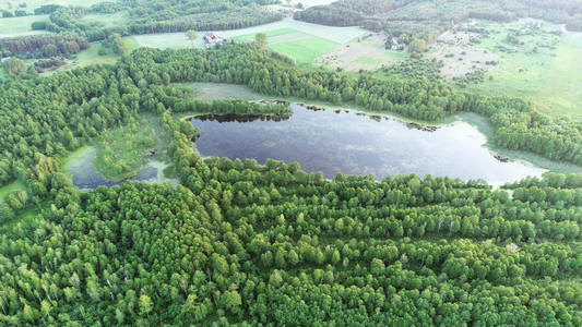 绿色森林中的湖泊鸟瞰图
