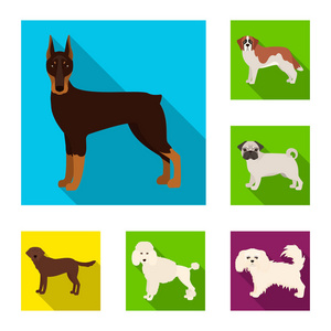 狗在集合的设计中滋生扁平的图标。狗宠物矢量符号股票网页插图