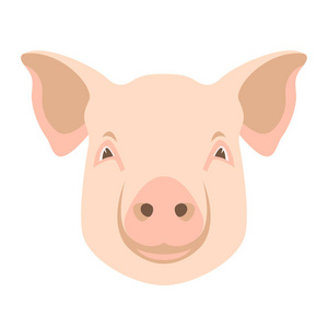 猪脸矢量图示扁式前