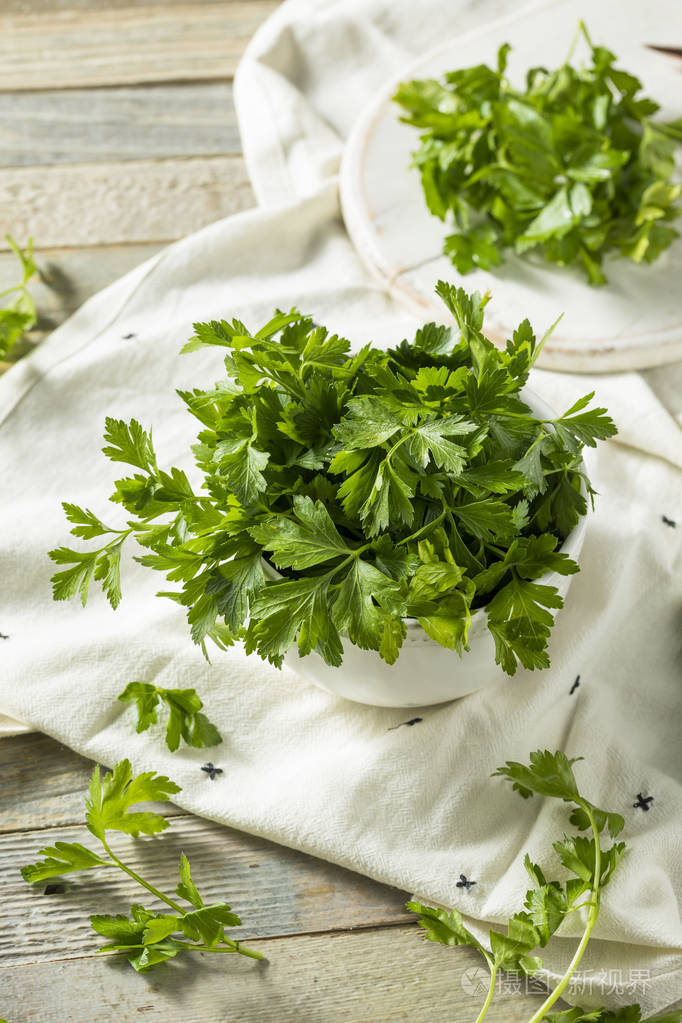 生绿色有机意大利扁叶欧芹
