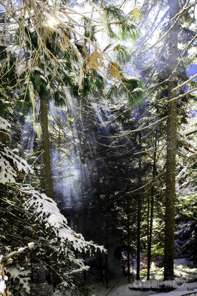 烟从火和太阳的光线在冬季西伯利亚针叶林地带,萨彦岭