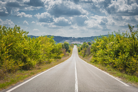 与树之间的白色条纹的长路照片