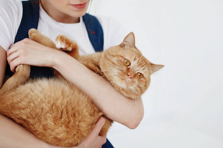 年轻可爱的女人抱着一只红色蓬松的猫在她的怀里, 微笑着照片