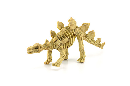 剑龙化石骨架玩具上白色孤立图片