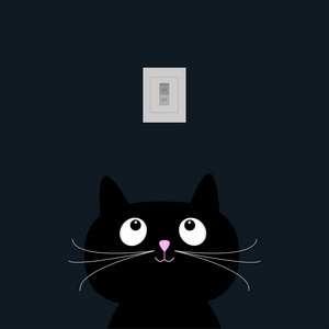 在黑暗中的黑猫。滚揉机上开关。平面设计