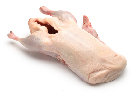 在白色背景上孤立的生鸭照片