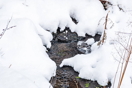 雪堆中的非寒冷森林小溪