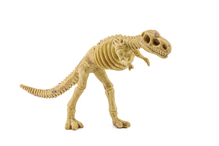 霸王龙化石骨架玩具上白色孤立照片
