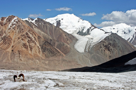 吉尔吉斯斯坦是 ak shyrak 地区，天山山脉，