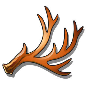 雄角被隔离在白色背景上.矢量卡通特写插图照片