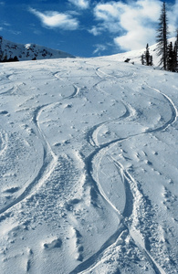 第一次在 snowbasin 滑雪度假村，犹他州塞