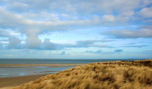 Nationalpark Duinen 车 Texel 景观