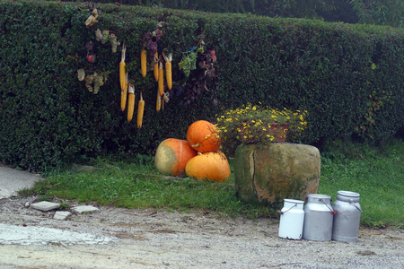 在前房子, 克罗地亚的南瓜和玉米感恩节装饰品