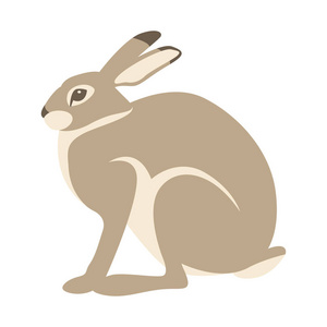 兔子侧面图片-兔子侧面素材-兔子侧面插画-摄图新视界