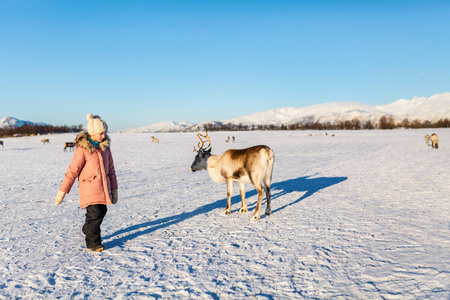 挪威北部阳光明媚的冬日, 带着驯鹿的小女孩在户外
