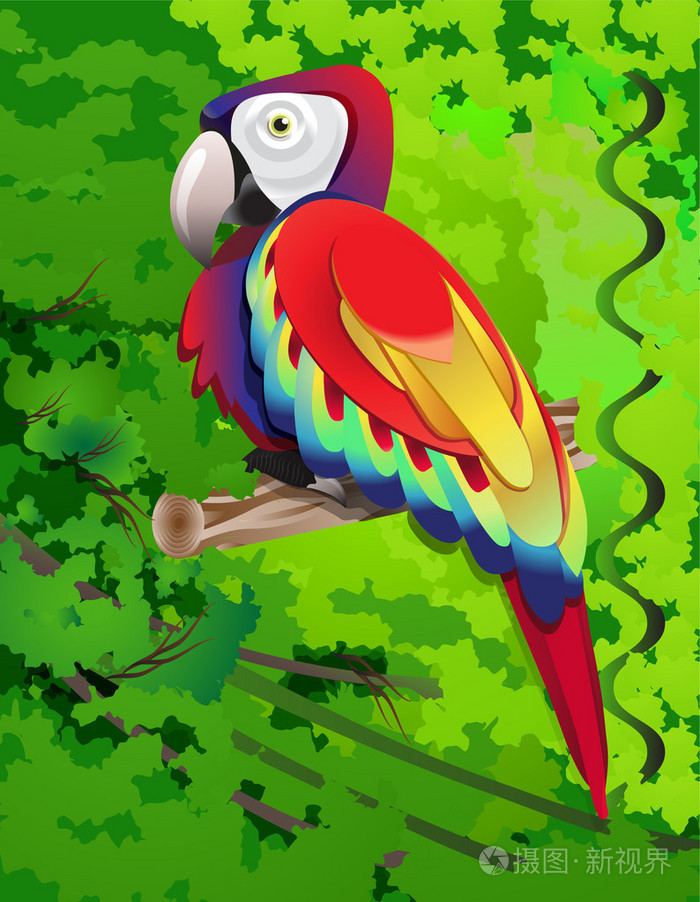 亚马逊鹦鹉插画-正版商用图片07xnpx-摄图新视界
