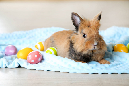 彩色复活节彩蛋棕色美丽的兔子