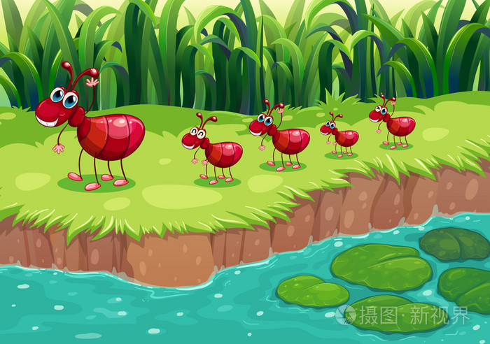 一窝红蚂蚁在河边的