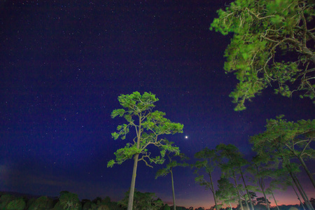 在夜晚的星空