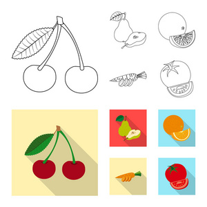 蔬菜水果图标的矢量设计。网站蔬菜和素食股票符号的收集
