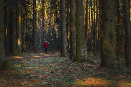 在森林里奔跑的人的踪迹。早晨在森林的灌木丛中慢跑。在公园里奔跑的运动员的剪影