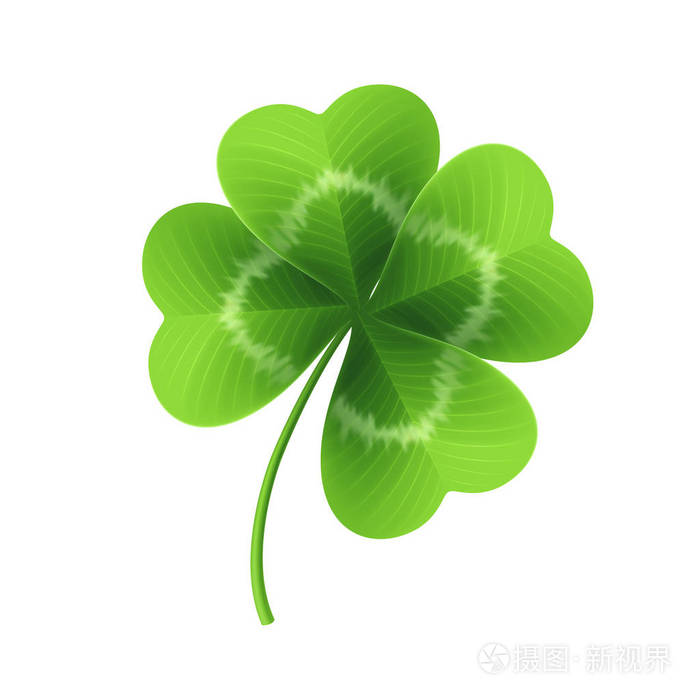 四片叶子的三叶草上白色孤立.矢量图