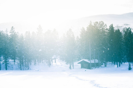 挪威中部湖岸边一座美丽的小木屋。下雪的冬天风景。宁静的冬日风光与房子