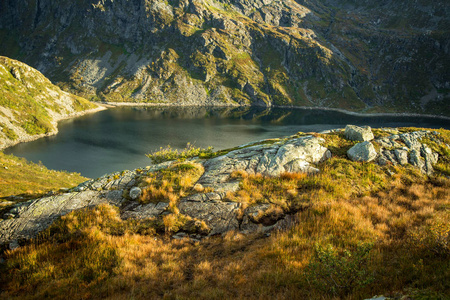 挪威 Folgefonna 国家公园山脉山坡上美丽的秋季色彩。秋季自然植物区系