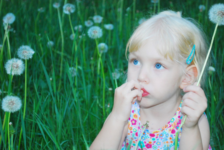 一个小女孩正坐在高高的草地和鲜花 dandelio