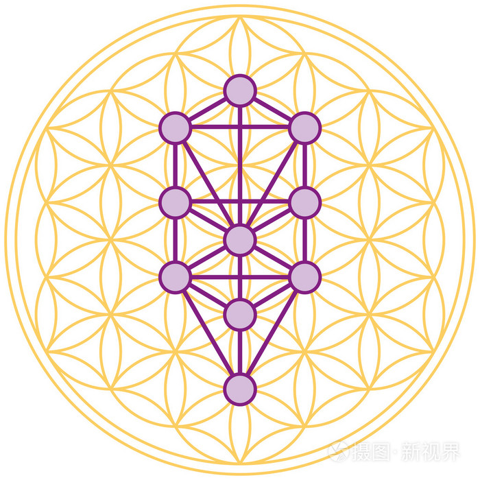 生命之树的配合完美的生命之花