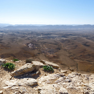 在以色列的石沙漠
