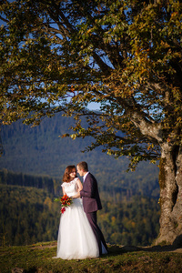 在树上的新婚夫妇的肖像, 对山的背景。爱的情侣在山中漫步