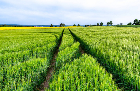 农田道路图片-农田道路素材-农田道路插画-摄图新视界