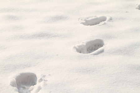 冷轧 冻结 步行 脚 长靴 雪 径 弗罗斯特