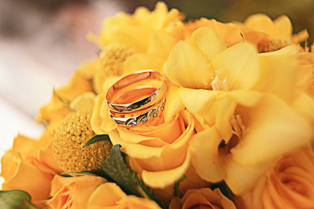 结婚戒指与月季花图片