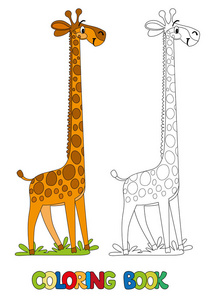 有趣的长颈鹿。图画书