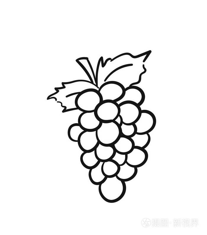 一串葡萄手绘草图图标插画-正版商用图片07z212-摄图新视界
